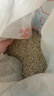疯狂水草水晶石英砂5斤1.0-2.0mm鱼缸沙底砂鱼缸造景鱼缸沙子底砂免洗底沙 实拍图