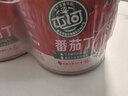 屯河番茄丁210g*6 0脂轻食0添加剂新疆内蒙番茄罐头西红柿块番茄酱 实拍图