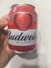 百威啤酒mini红罐淡色拉格255ml*24小罐整箱装京东自营喜酒 实拍图