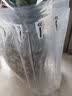 佳农菲律宾黑钻凤梨2粒装 净重4.6斤起 生鲜水果 源头直发 包邮 实拍图