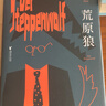 荒原狼 赫尔曼·黑塞 悉达多译者姜乙2023新译作 诺贝尔文学奖得主黑塞自传式小说 外国长篇小说 实拍图