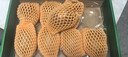 佳沛（zespri）新西兰阳光金奇异果 8个装 特大果单果重约124-146g 水果猕猴桃 实拍图