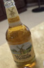 老米乐 俄罗斯进口啤酒原装老米勒大风车米乐淡爽啤酒黄啤整箱 老米乐啤酒 450mL 12瓶 实拍图