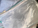 离草 文件袋拉链袋A4网格透明考试试卷收纳袋中考小学生科目袋办公大容量学习档案袋马卡龙10只 实拍图