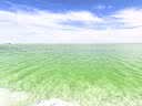 聚创麒鱼池鱼缸杀菌盐水族观赏鱼锦鲤鱼池专用盐养殖粗盐天然海盐矿物盐 大袋【50斤装】 实拍图