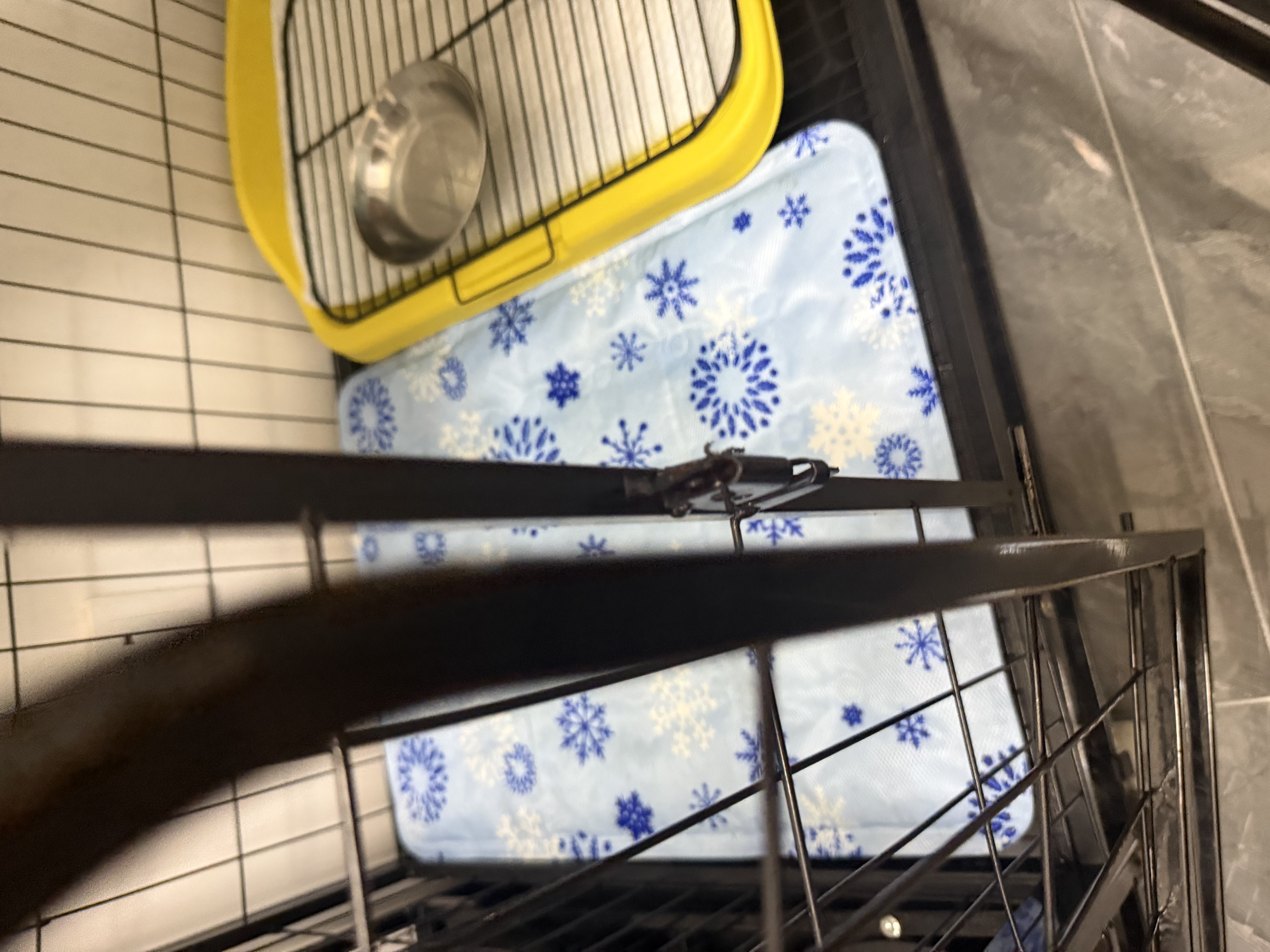 憨憨乐园宠物冰垫狗狗垫子防水夏季降温猫咪凉席泰迪金毛中小型犬用品 L 实拍图