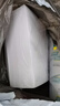 法拉蒙（faramon）10本装空白A4草稿纸笔记本本子学生演算本1000张大学生考研复习加厚白纸草稿本文具本子高中生学习神器 实拍图