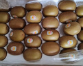 佳沛（zespri）新西兰 阳光金奇异果12粒特大果单果124-146g 猕猴桃水果礼盒 实拍图