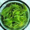 正宗苦丁茶贵州余庆小叶苦丁茶明前嫩叶2026年新茶青山绿水花草茶 250g袋装【正宗小叶苦丁茶】 产地直发/源头厂家 实拍图