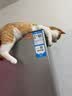 HELLOJOY撸猫手套狗狗猫咪梳毛去浮毛洗澡按摩神器宠物梳子猫毛清理器 实拍图
