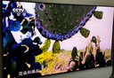 TCL SQD-MiniLED电视 75Q9M Pro 75英寸 100%全局高色域 4GB+64GB超大内存 Q9L Pro升级 实拍图
