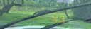 OBOSH欧博士汽车雨刮器本田CRV/12-21款 适配无骨胶条静音雨刷片26/16 实拍图