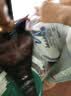 迪卡侬儿童网面舒适透气校园休闲运动田径跑步鞋-5768563 实拍图
