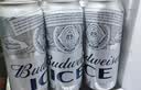 百威冰啤酒500ml*18听整箱装【99%好评】京东自营 实拍图