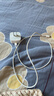 Apple/苹果 40W type-c快充充电器 苹果usb-c原装充电头 旗舰店新款苹果iPhone 17 Pro Max充电器 实拍图