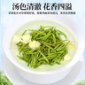 一杯香茶叶2026新茶茉莉花茶银毫500g特级横县茉莉绿茶自己喝送礼品袋 实拍图