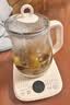 天际（TONZE）养生壶 1.5L全自动煮茶壶 24h预约烧水壶 12小时智能恒温 提壶记忆电热水壶 花茶壶煮茶器15YS02 实拍图