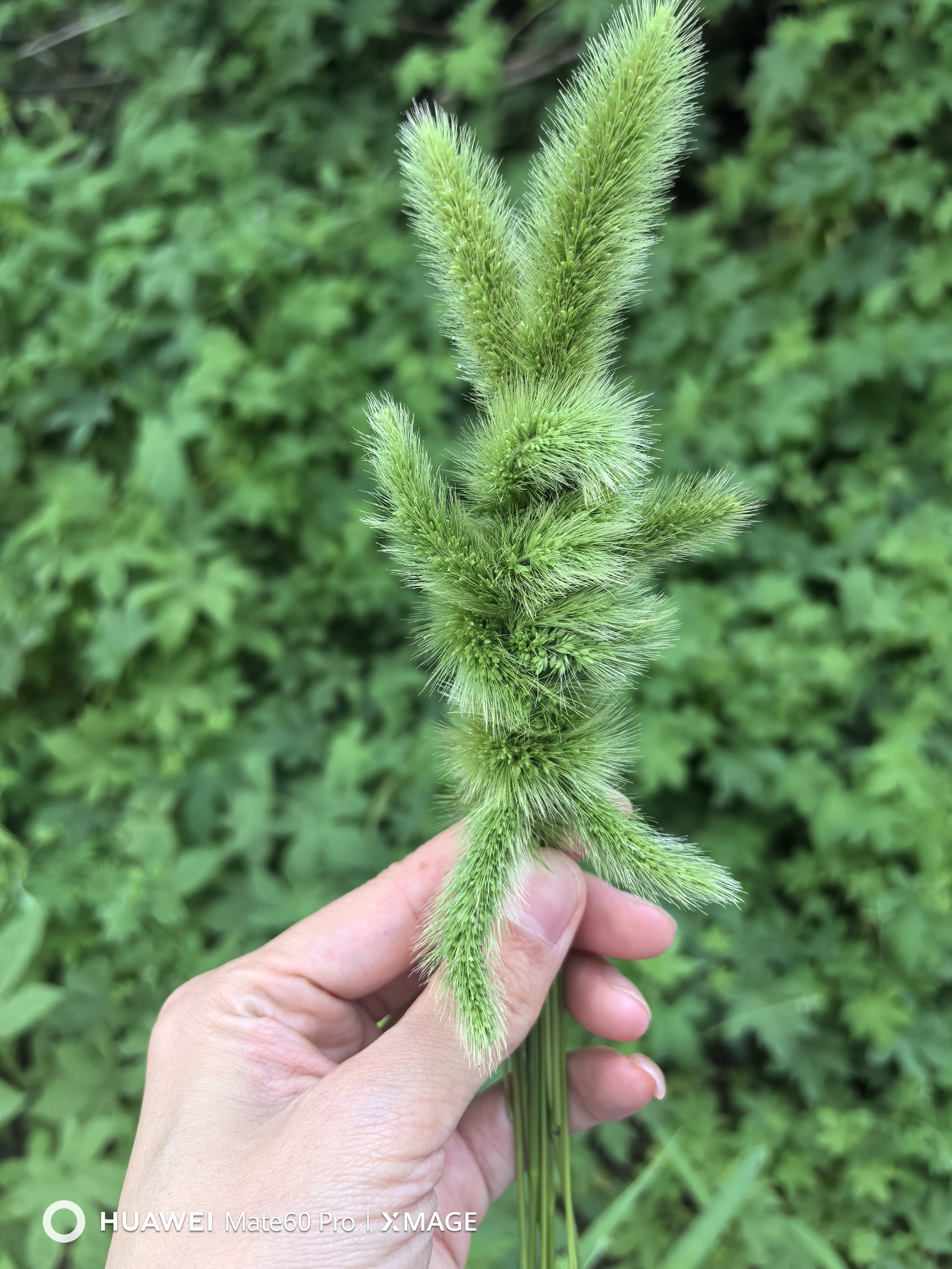 窝小芽儿童零食一口真虾条 高钙虾片饼干泡芙非油炸28%虾肉添加200g 实拍图