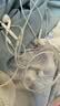 Apple/苹果 EarPods USB-C有线耳机 type-c有线耳机  iPhone 17有线耳机笔记本耳机游戏音乐 实拍图