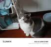 松下（Panasonic）Lumix G100D M43画幅相机 M43卡口 微单相机 无反数码相机 G100D单机+【25mmF1.7】单镜头定焦 实拍图