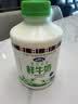 青海湖 青海高原鲜牛奶500ml*4 低温奶 巴氏杀菌 100%生牛乳  实拍图