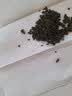 铁观音特级浓香型茶叶 2026新茶安溪高山乌龙茶兰花香绿茶含罐装 特级铁观音 含罐250g*2罐 实拍图