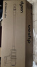 戴森（DYSON）V12 Detect Slim Fluffy 两年质保 家用手持无线除螨车载吸尘器光学显尘 智能超强大吸力宠物家庭 实拍图