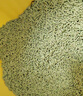 洁客（Drymax）植物环保结团除臭低尘豆腐猫砂绿茶味2.72kg*3袋 实拍图