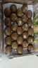 佳沛（zespri）绿奇异果特大果22-25个原箱装单果约135-176g 猕猴桃 水果 实拍图