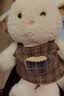 名创优品（MINISO）塔妮兔秋日系列小兔子玩偶可爱趴姿小号毛绒公仔陪睡抱枕礼物送女 实拍图