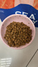 海洋之星烘焙猫粮冰川三文鱼猫粮 幼猫成猫美毛 布偶蓝猫全价鲜肉粮1.5kg 实拍图