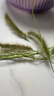 尔木萄（AMORTALS）丁禹兮同款加分100粉扑套盒XL美妆蛋化妆蛋气垫粉底扑干湿两用 实拍图