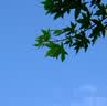 适马（SIGMA）18-50mm F2.8 DC DN｜Contemporary 半画幅微单 1850标准变焦镜头  （富士卡口） 实拍图