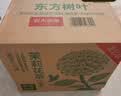 农夫山泉 东方树叶无糖茶饮料零糖零脂零卡 整箱装 茉莉花茶900ml*12瓶 实拍图
