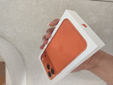 Apple/苹果 iPhone 17 Pro Max 256GB 星宇橙色 支持移动联通电信5G 双卡双待手机 实拍图