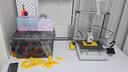 拓竹A1 3D打印机儿童礼物桌面家用FDM全自动调平高速3d打印机器【大陆版】 实拍图
