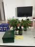 米叻（MILLER DAZZLE）沐浴露洗发水套装 沐浴液无患子去屑洗发露洗护套装 500ml*2 实拍图