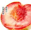 【产地直采】新疆恐龙蛋李330g 实拍图