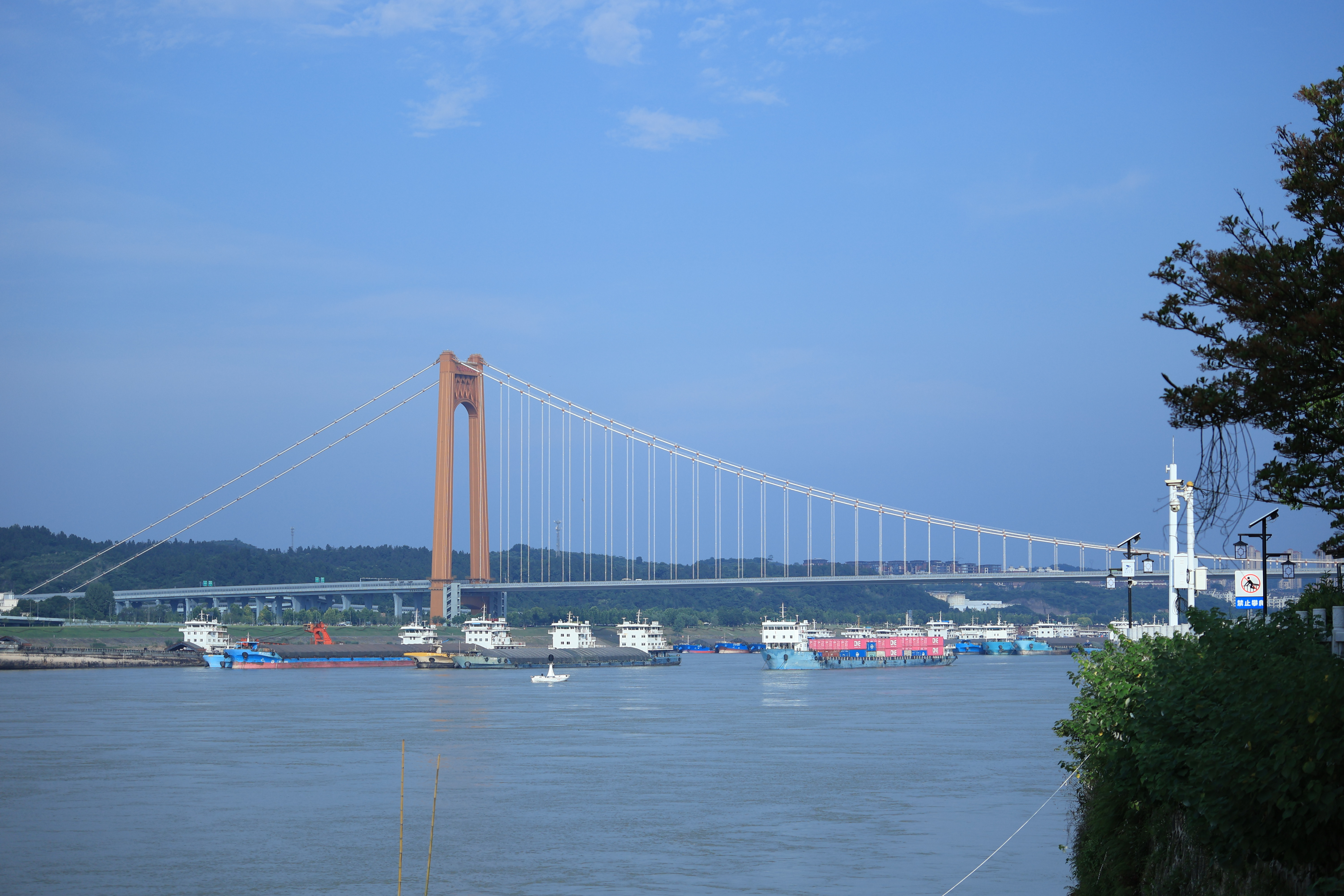 适马（SIGMA）18-50mm F2.8 DC DN｜Contemporary 半画幅微单 1850标准变焦镜头  人像旅行直播（佳能RF卡口） 实拍图