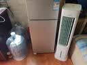 新飞冰箱小型租房用 一级能效冷 藏冷冻两用1-2人家用小冰箱 出租房双门电冰箱办公室两门 26年升级 86A一级能效【高性价比】银 实拍图