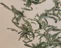 西湖牌绿茶优选雨前浓香龙井茶传统纸包春茶200g自己喝 实拍图