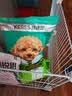 凯锐思 贵宾泰迪狗粮 小型犬粮成幼犬通用型天然奶糕宠物狗粮囤货装 【助益免疫】贵宾幼犬专用 2kg 实拍图