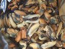 北海印象【北海产地】淡菜干海虹干250g海鲜干货贻贝火锅食材源头直发包邮 实拍图