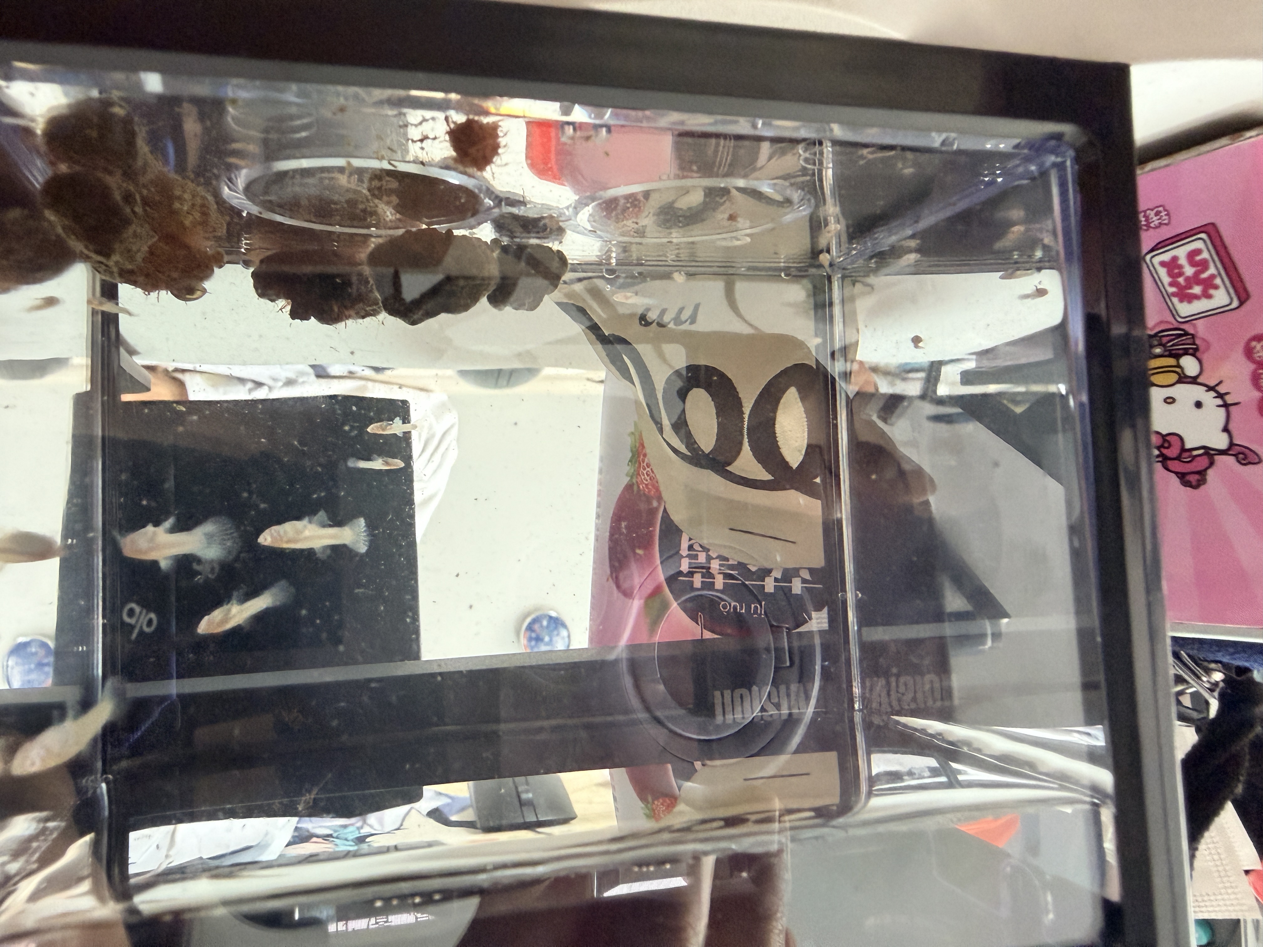 桌面鱼缸小型家用积木缸生态缸水族箱斗鱼缸带小夜灯氛围灯摆件 黑色斗鱼缸【不带灯】 实拍图