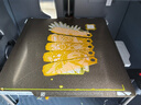 拓竹P1SC 3D打印机桌面家用儿童FDM全自动调平大尺寸多色高速3d打印机器【大陆版】 入门款丨多色套装 实拍图
