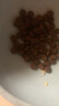 素力高（SolidGold）猫粮高蛋白 鸡肉益生菌进口猫粮3磅/1.36kg 实拍图