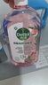 滴露（Dettol）衣物消毒液自然香氛洗衣除菌液 除螨除异味去汗臭48h留香1000ml*1 实拍图