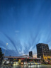 蒙牛【新鲜日期】全脂纯牛奶250ml*21盒 世界杯定制装送礼礼盒 实拍图
