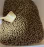 皇家狗粮 成犬粮 通用犬型 CC通用狗粮12月以上 8KG【成犬通用】 实拍图