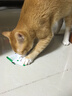 皇家猫粮 暹罗成猫粮 SM38 通用粮 12月以上 2KG 实拍图